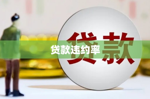 宁蒗贷款违约率