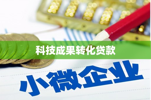 宁蒗科技成果转化贷款