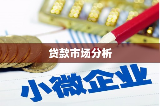 宁蒗贷款市场分析