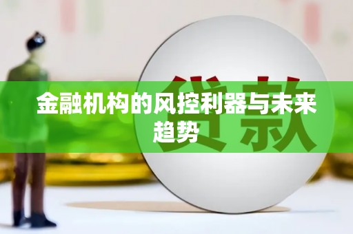 宁蒗金融机构的风控利器与未来趋势