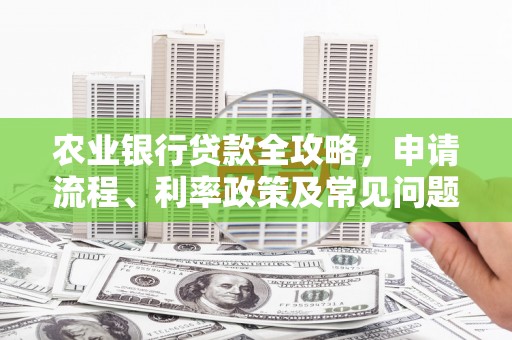 宁蒗农业银行贷款全攻略，申请流程、利率政策及常见问题解析
