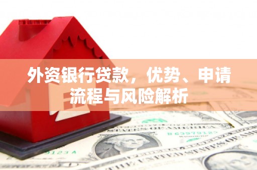 宁蒗外资银行贷款，优势、申请流程与风险解析