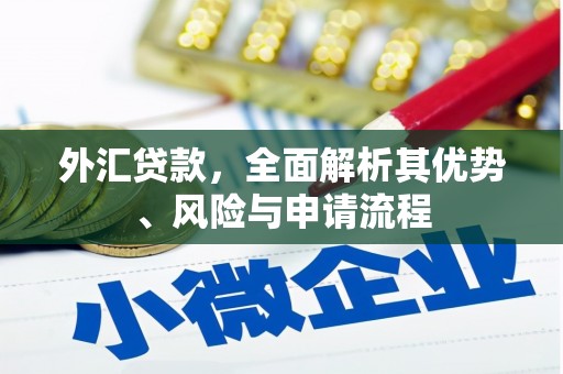 宁蒗外汇贷款，全面解析其优势、风险与申请流程