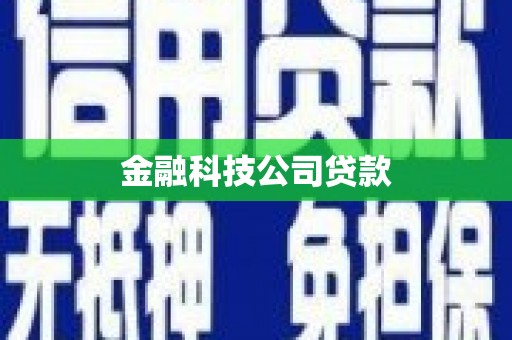 宁蒗金融科技公司贷款