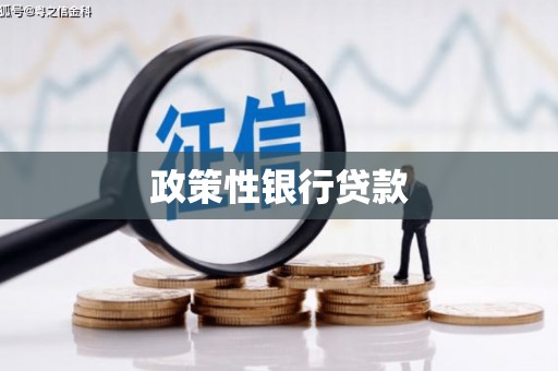 宁蒗政策性银行贷款