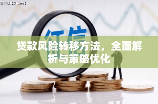 宁蒗贷款风险转移方法，全面解析与策略优化
