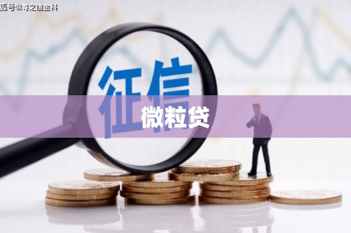 宁蒗微粒贷