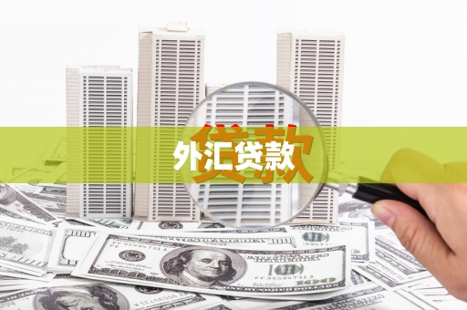 宁蒗外汇贷款