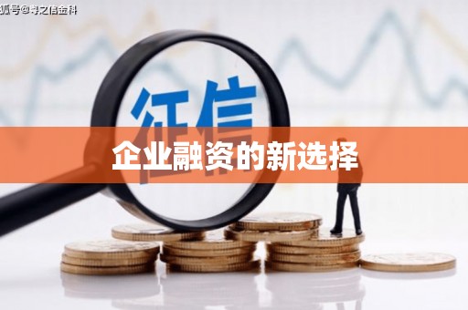 宁蒗企业融资的新选择