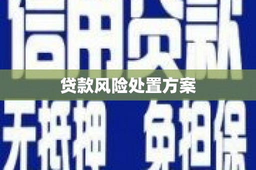 宁蒗贷款风险处置方案