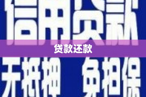 宁蒗贷款还款