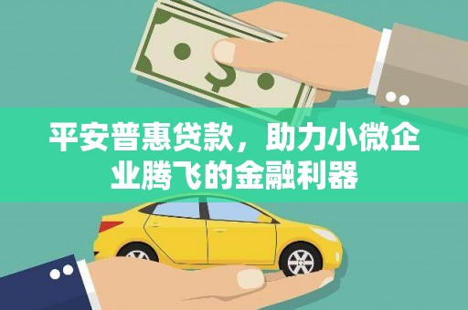 宁蒗平安普惠贷款，助力小微企业腾飞的金融利器