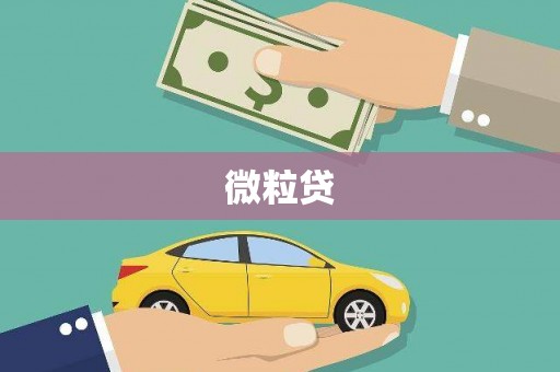 宁蒗微粒贷