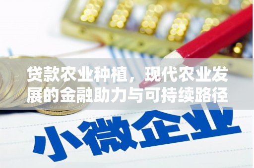 宁蒗贷款农业种植，现代农业发展的金融助力与可持续路径