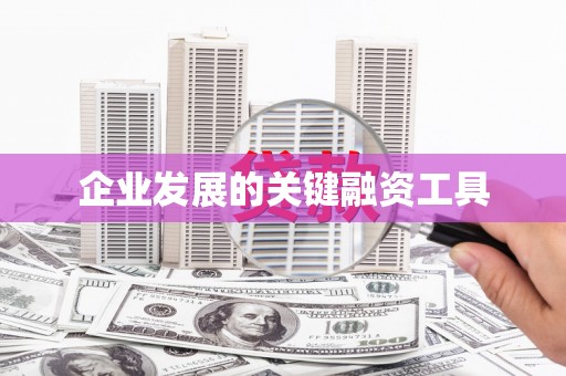 宁蒗企业发展的关键融资工具