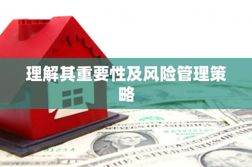 宁蒗理解其重要性及风险管理策略