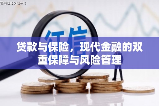 宁蒗贷款与保险，现代金融的双重保障与风险管理