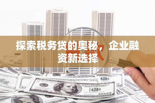 宁蒗探索税务贷的奥秘，企业融资新选择