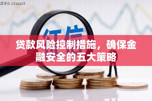 宁蒗贷款风险控制措施，确保金融安全的五大策略
