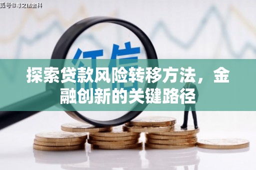 宁蒗探索贷款风险转移方法，金融创新的关键路径