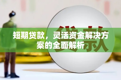 宁蒗短期贷款，灵活资金解决方案的全面解析