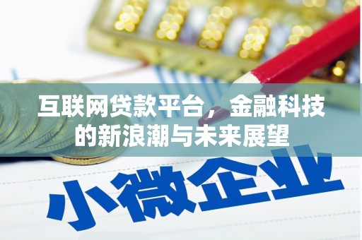 宁蒗互联网贷款平台，金融科技的新浪潮与未来展望
