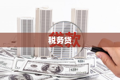 宁蒗税务贷