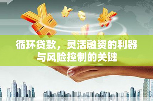 宁蒗循环贷款，灵活融资的利器与风险控制的关键