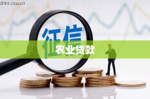宁蒗农业贷款