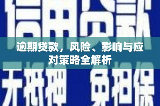 宁蒗逾期贷款，风险、影响与应对策略全解析