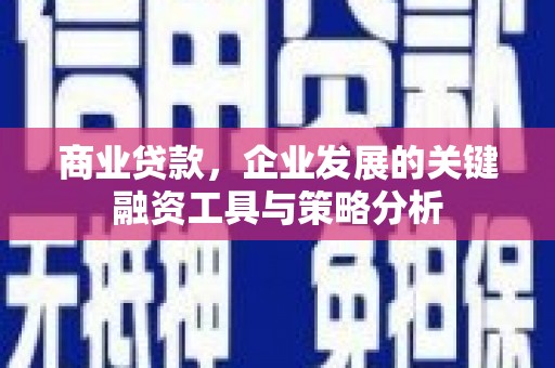 宁蒗商业贷款，企业发展的关键融资工具与策略分析