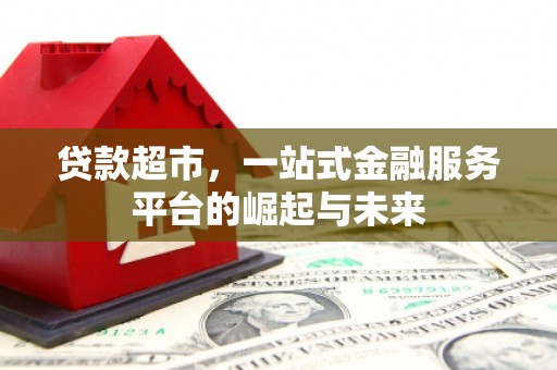 宁蒗贷款超市，一站式金融服务平台的崛起与未来