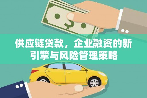 宁蒗供应链贷款，企业融资的新引擎与风险管理策略