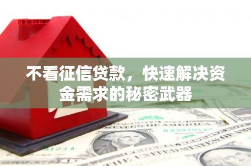 宁蒗不看征信贷款，快速解决资金需求的秘密武器