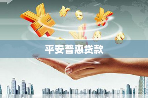 宁蒗平安普惠贷款