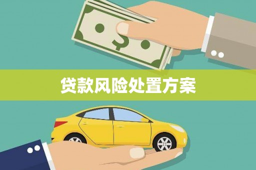 宁蒗贷款风险处置方案