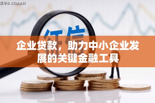 宁蒗企业贷款，助力中小企业发展的关键金融工具
