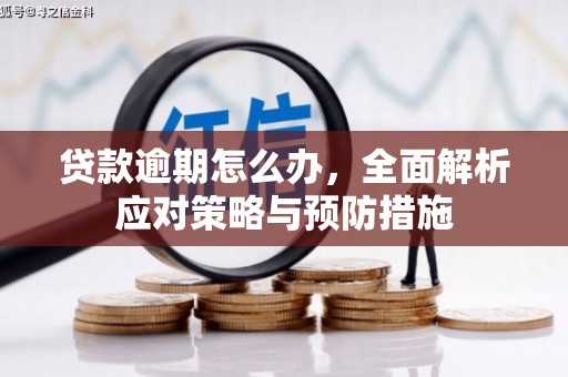 宁蒗贷款逾期怎么办，全面解析应对策略与预防措施