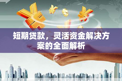 宁蒗短期贷款，灵活资金解决方案的全面解析