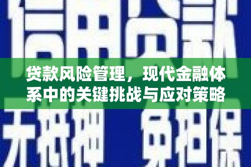 宁蒗贷款风险管理，现代金融体系中的关键挑战与应对策略