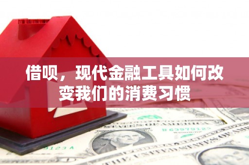 宁蒗借呗，现代金融工具如何改变我们的消费习惯