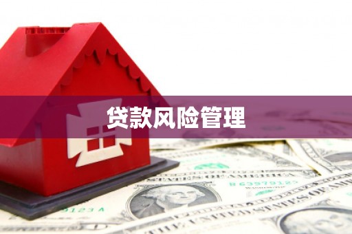 宁蒗贷款风险管理