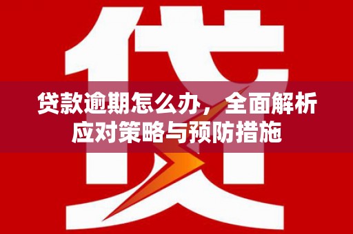 宁蒗贷款逾期怎么办，全面解析应对策略与预防措施