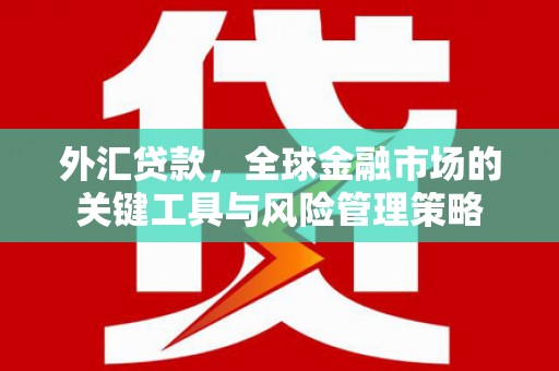 宁蒗外汇贷款，全球金融市场的关键工具与风险管理策略