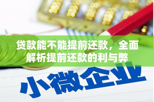 宁蒗贷款能不能提前还款，全面解析提前还款的利与弊