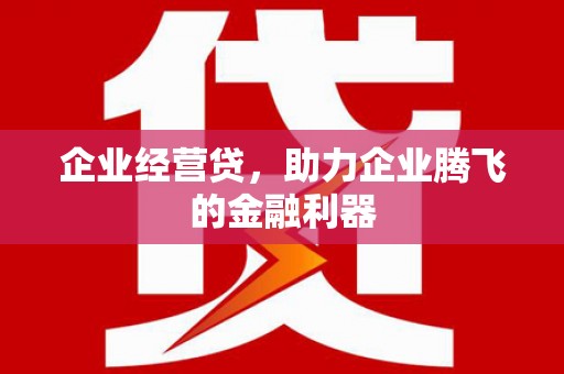 宁蒗企业经营贷，助力企业腾飞的金融利器