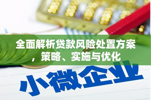 宁蒗全面解析贷款风险处置方案，策略、实施与优化