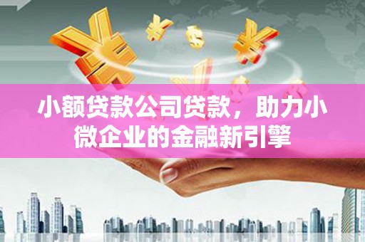 宁蒗小额贷款公司贷款，助力小微企业的金融新引擎