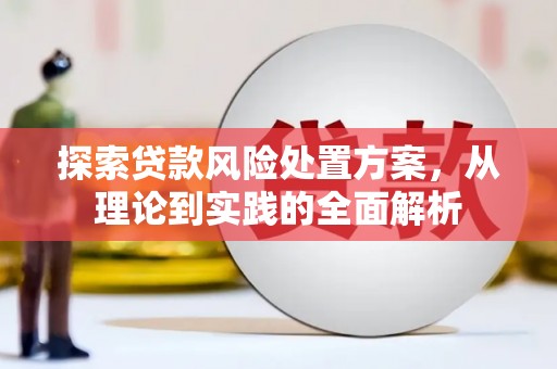 宁蒗探索贷款风险处置方案，从理论到实践的全面解析