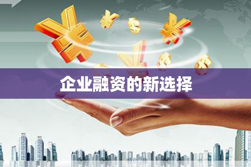 宁蒗企业融资的新选择